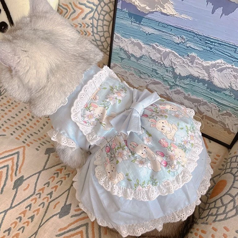 Pet Cute Apron Dress Lace Flor - đánh giá và giá Lace Teddy Lingerie