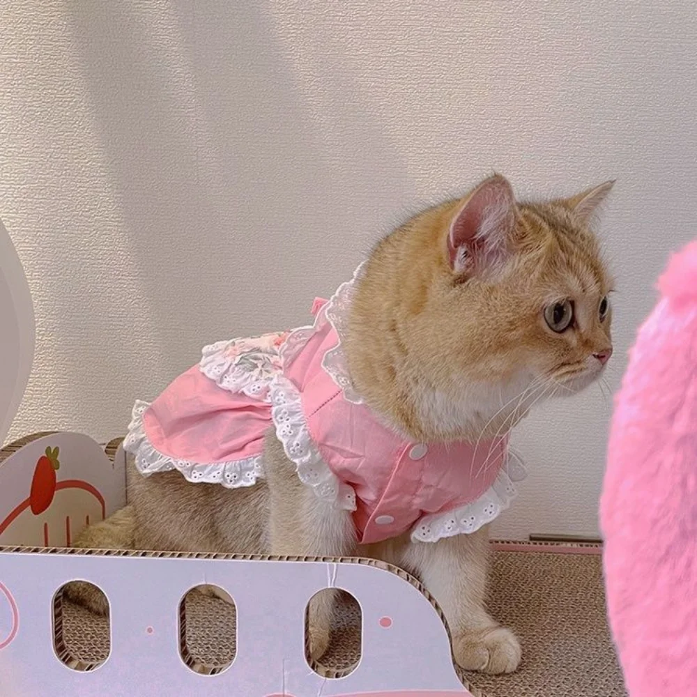 Pet Cute Apron Dress Lace Flor - đánh giá và giá Lace Teddy Lingerie