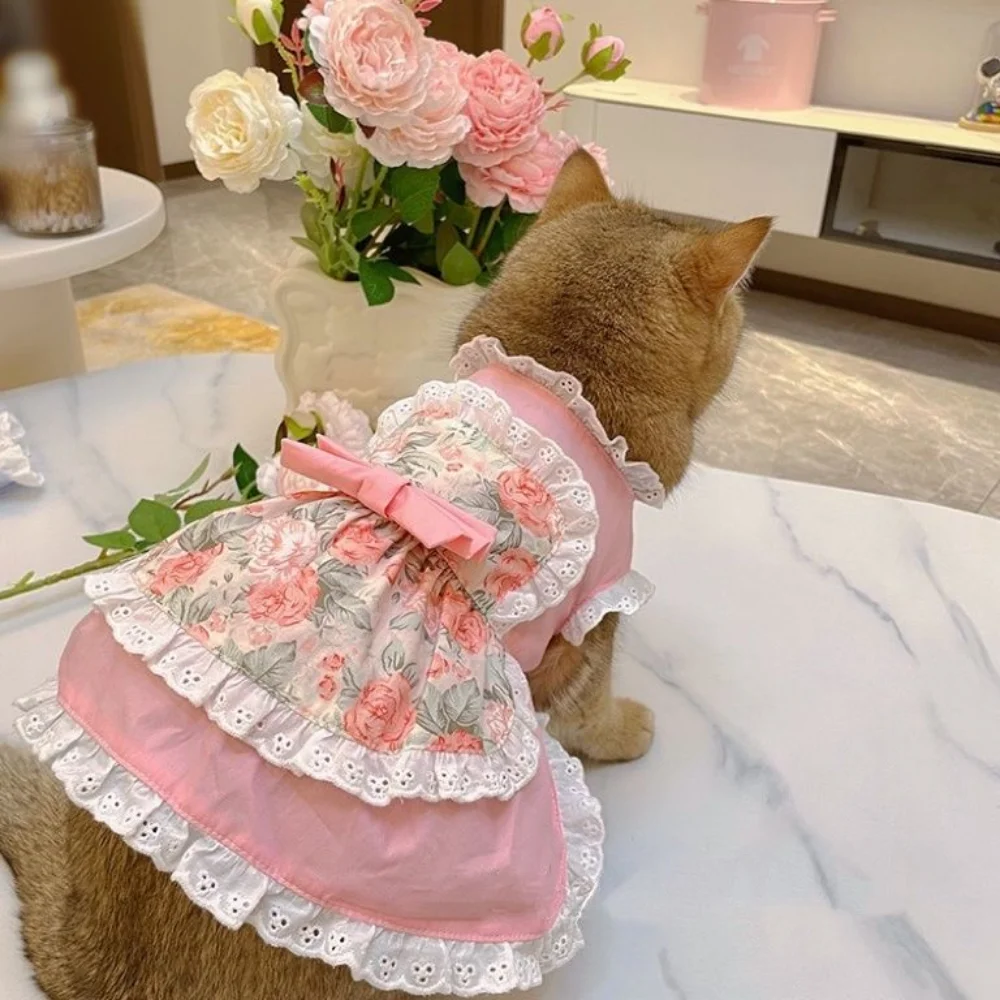 Pet Cute Apron Dress Lace Flor - đánh giá và giá Lace Teddy Lingerie